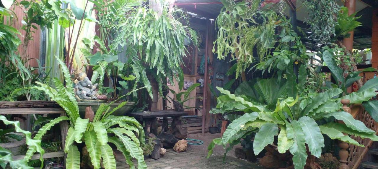 Ouychai Camping Chiang Mai